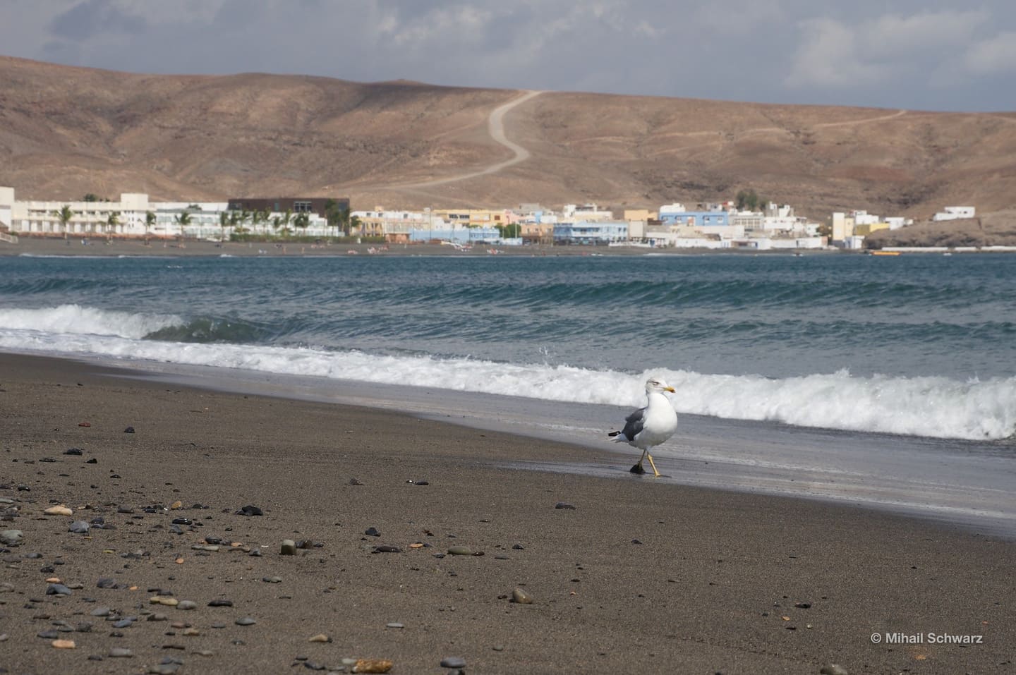 Fuerteventura
