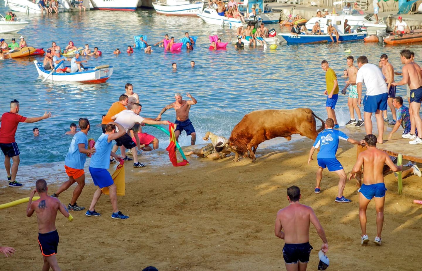Stiere und das Meer
