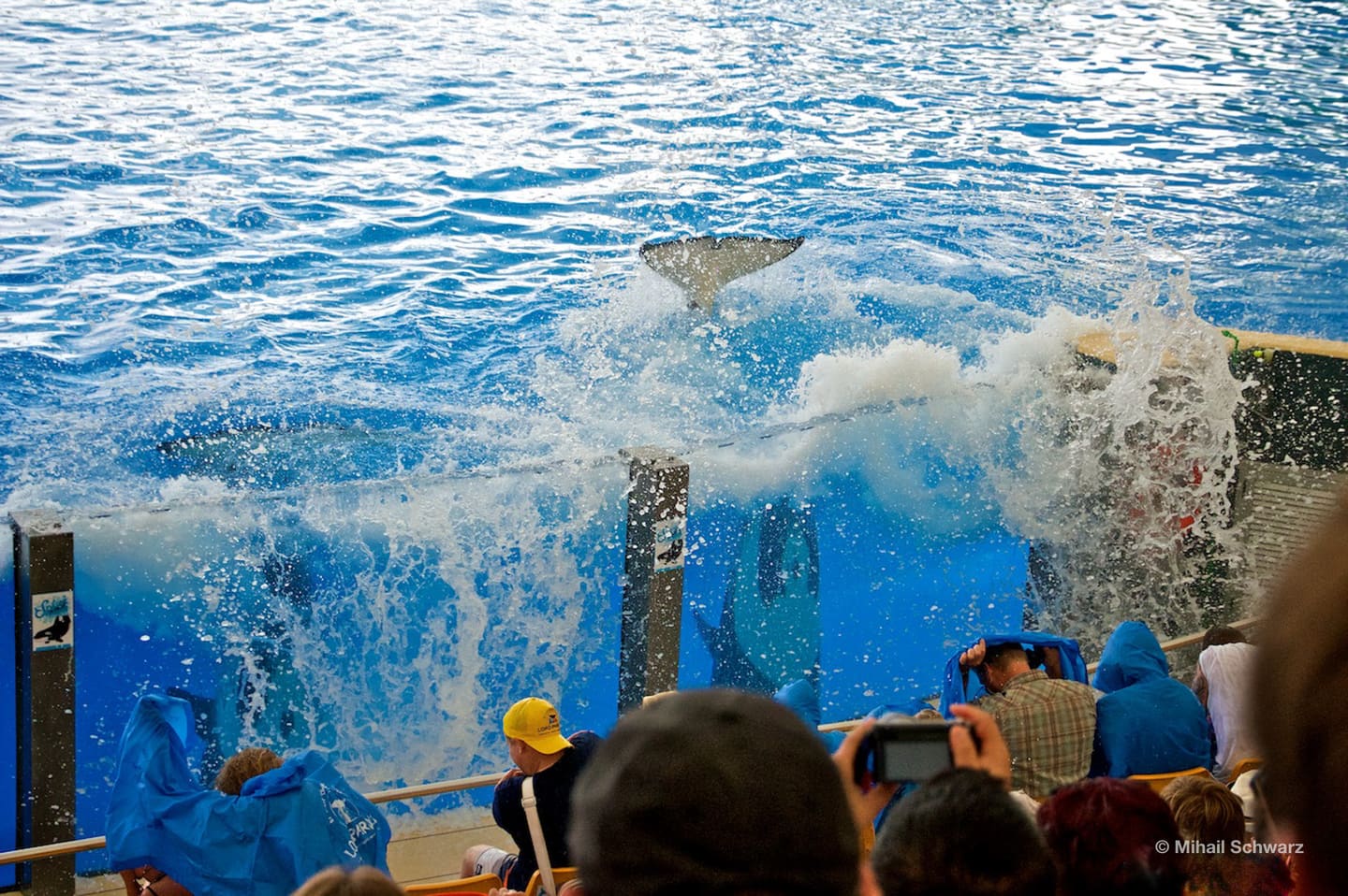 Alle vorderen Reihen sind im Wasser!